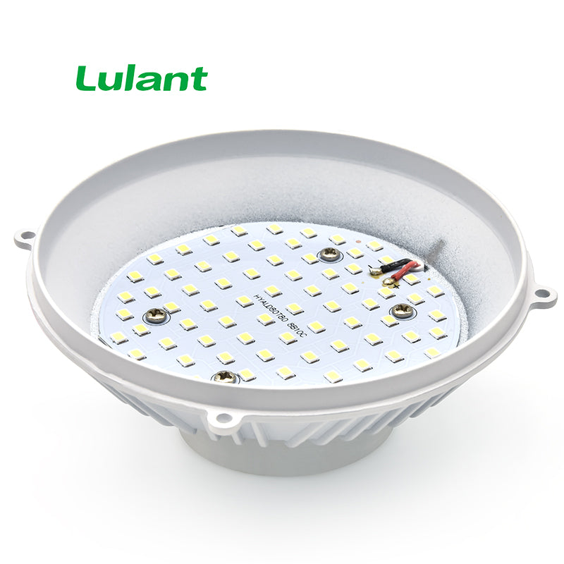 Lulant - LED Flat Downlight in circle shape [White][Yellow][Yellow Beige]